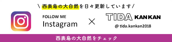 ティダカンカンのインスタグラム