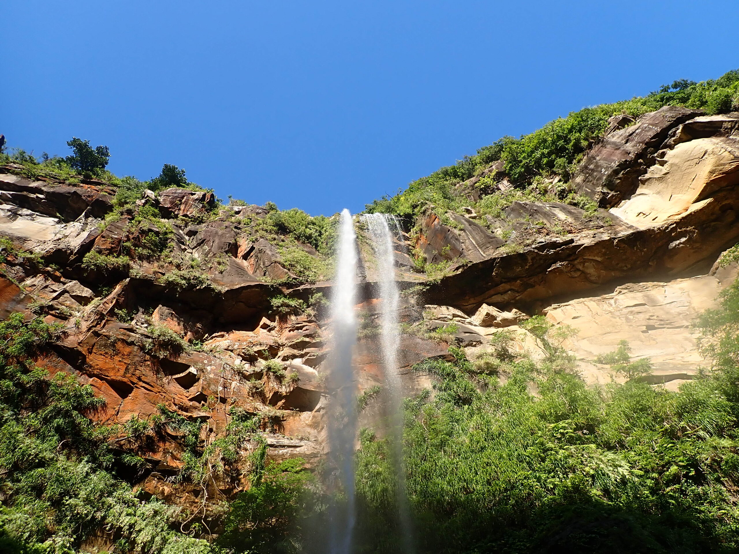 西表島に遊びに来る方は必見！人数制限が始まります＊ - 西表島カヌー