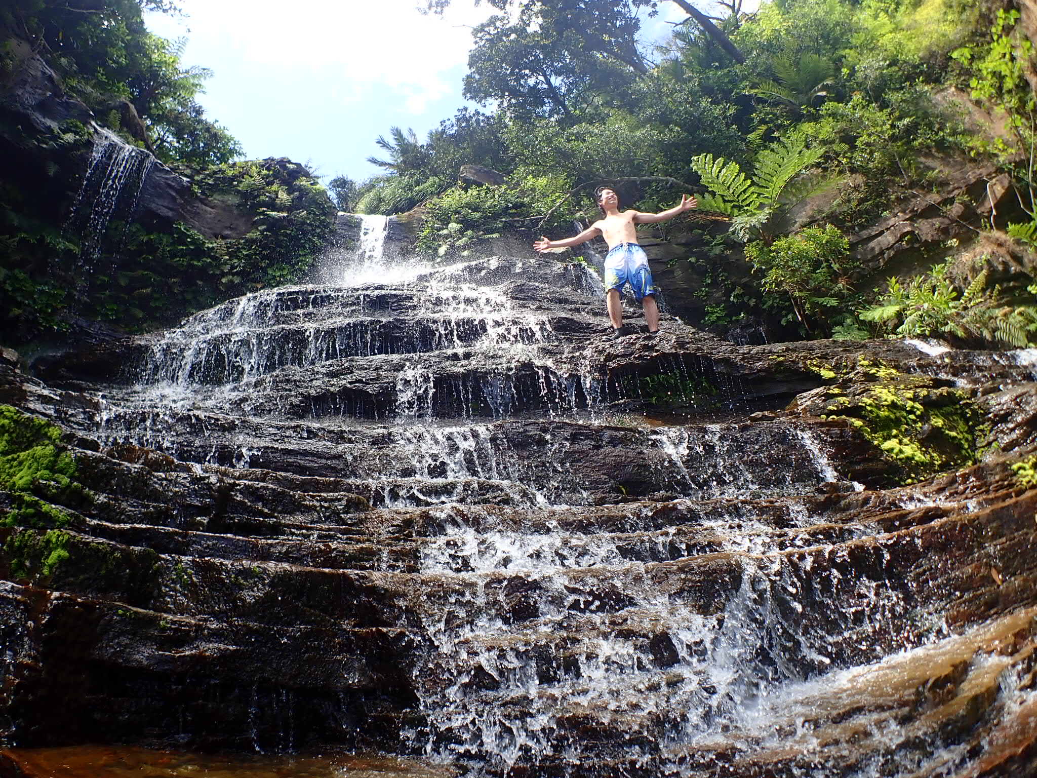 半日でおもっきり西表島のジャングルを楽しむならゲータの滝がおすすめ