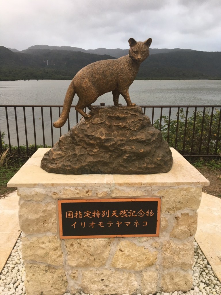 「イリオモテヤマネコに注意」西表島の猫の標識はインスタ映え！骨も見えるスケルトンだよ！