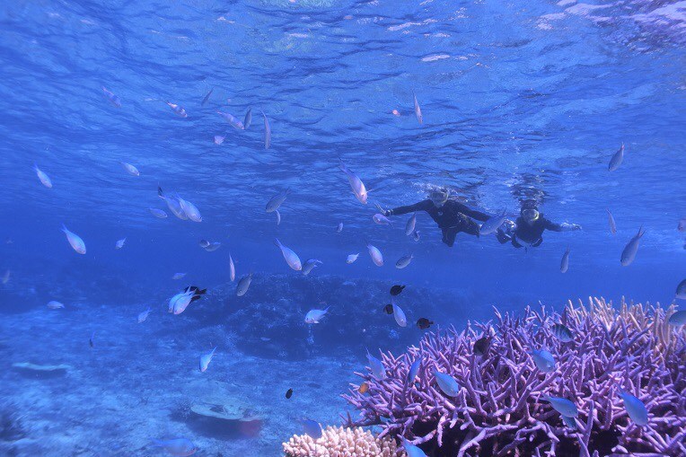 シュノーケリング観光スポット！沖縄県西表島で地図に載らないサンゴの欠片でできた島「バラス島」！カヤックで行けるよ。