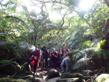 西表島の大自然を全身で満喫。ピナイサーラの滝カヌーツアー